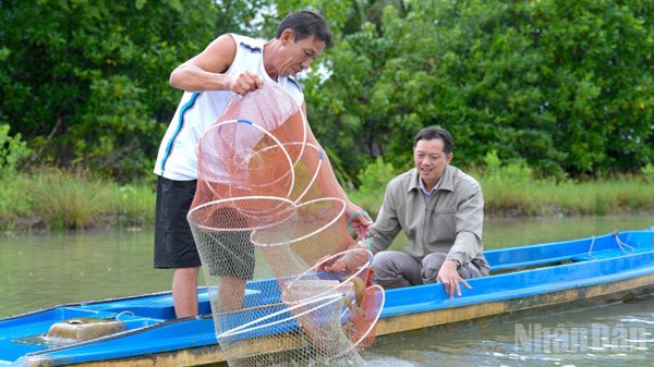 Hành động chiến lược vì một ngành tôm bền vững