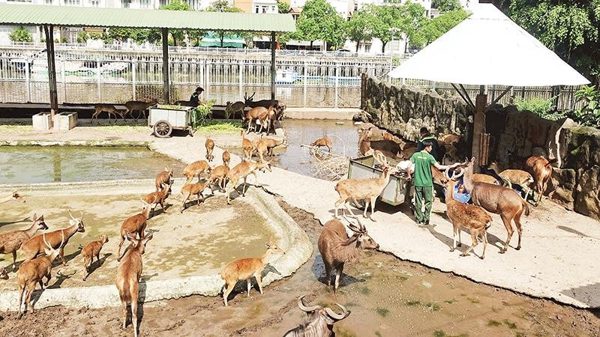 Hành trình 30 năm bảo tồn động vật hoang dã