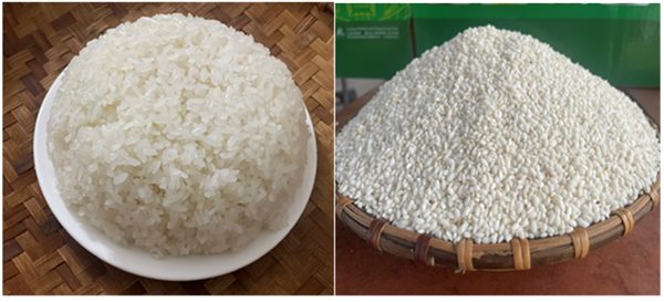 Hạt nếp ‘Gà Gáy’ từ huyền thoại xứ Mường đến chỉ dẫn địa lý
