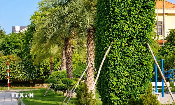 Hé lộ cách Công ty Cây xanh Công Minh trúng thầu 6 dự án tại Gio Linh
