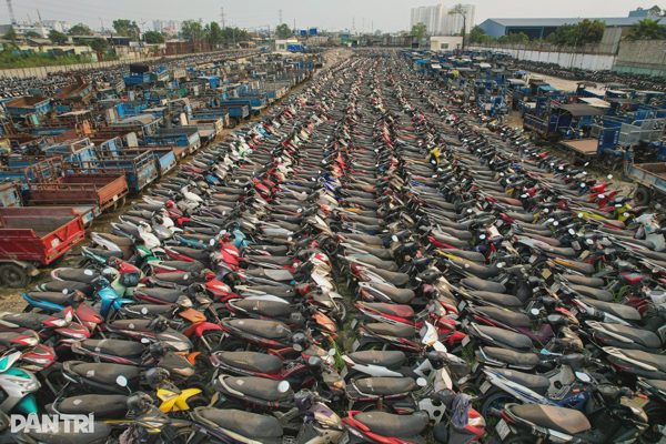 Hé lộ mức giá trúng đấu giá lô 39.000 xe máy vi phạm tại TPHCM