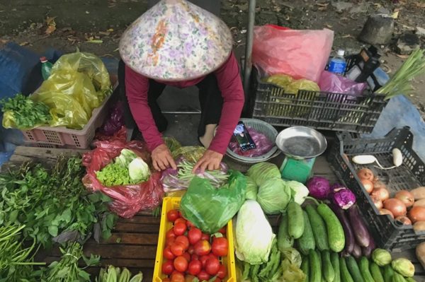 Heo hơi, rau củ tại vườn đã giảm giá sâu, sao ở chợ vẫn neo cao?