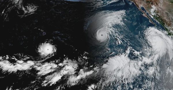 Hiếm hoi 3 cơn bão cùng hoạt động ở Thái Bình Dương, cảnh báo về El Nino