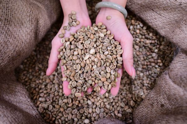 Hiến kế để người tiêu dùng nhận ra Robusta Việt ngay từ ngụm đầu tiên