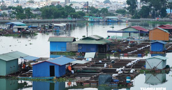 Hiện trạng gần 2.000 lồng, bè nuôi cá trên sông giữa trung tâm thành phố Đồng Nai