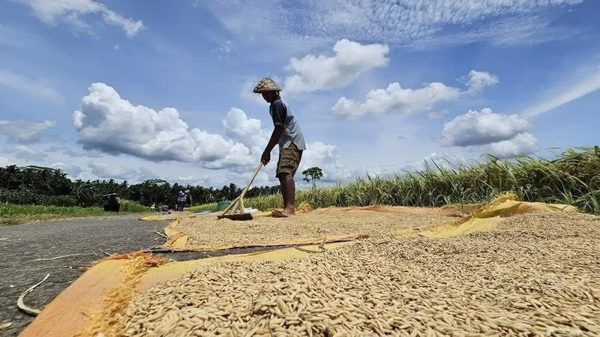 Hiện tượng El Nino mạnh lên nhanh chóng