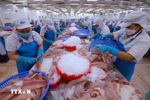 Hiệp định VEFTA: Bước đệm chiến lược tái định vị dòng chảy thương mại và đầu tư
