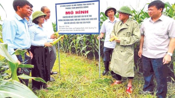 Hiệu quả từ chuyển đổi cơ cấu cây trồng phù hợp