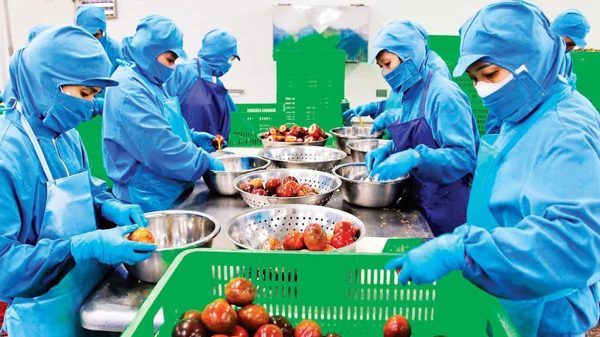 'Hộ chiếu xanh' để xuất khẩu nông sản