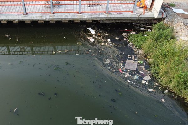 Hồ điều hòa đẹp nhất Hải Phòng ô nhiễm nghiêm trọng