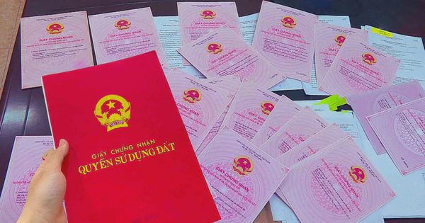 Hồ sơ đất đai bị trả nhiều lần nhưng thuê “cò” làm lại nhanh, Bộ Nông nghiệp và Môi trường yêu cầu chấm dứt