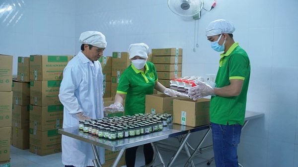 Hồ tiêu Bầu Mây nỗ lực nâng chuẩn OCOP từ chuỗi liên kết sản xuất, chế biến
