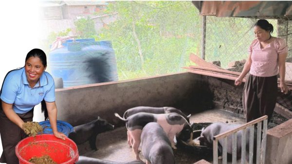 Hỗ trợ bà con dân tộc thiểu số vùng biên giới Quảng Trị tiếp cận mô hình phát triển kinh tế mới