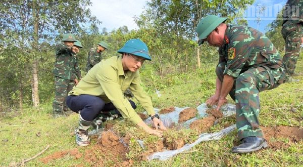 Hỗ trợ người dân ở biên giới Việt Nam-Trung Quốc thực hiện mô hình trồng cây ăn quả