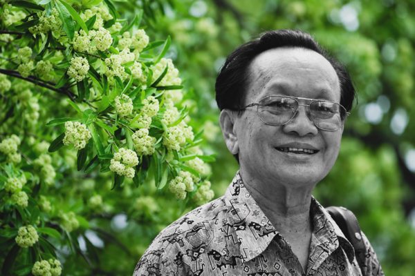 “Hoa sữa” của nhạc sĩ Hồng Đăng sốt trở lại, lượt tìm kiếm tăng vọt