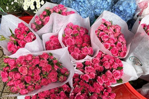 Hoa tươi dịp 20/10: Sáng tăng giá, chiều giảm vội để xả hàng