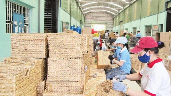 Hoàn thiện chuỗi cung ứng bền vững, nâng cao năng lực cạnh tranh