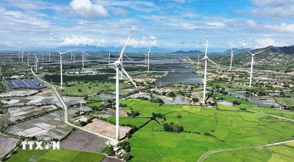 Hoàn thiện hệ thống chỉ tiêu để triển khai các chính sách phát triển kinh tế-xã hội