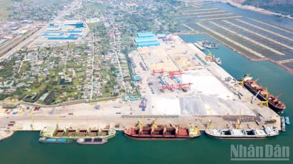 Hoàn thiện tiêu chí, quy trình phân loại cảng biển Việt Nam
