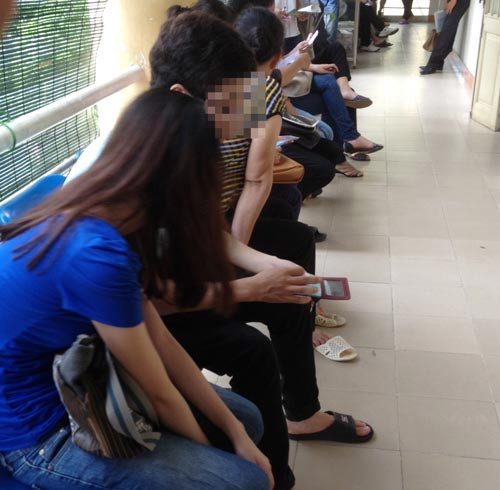 Học trò yêu bạo: Vẽ đường cho hươu chạy đúng