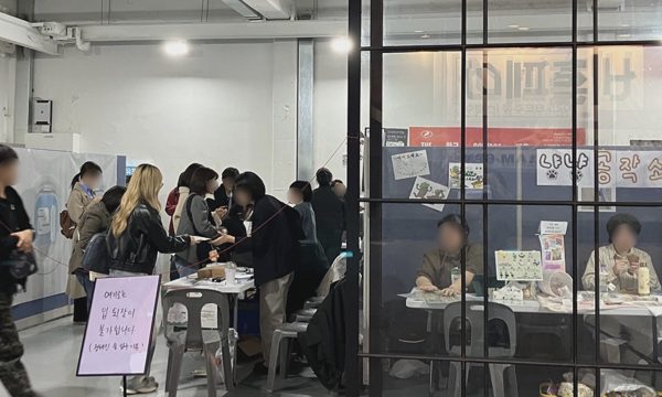 Hội chợ của những phụ nữ không chồng