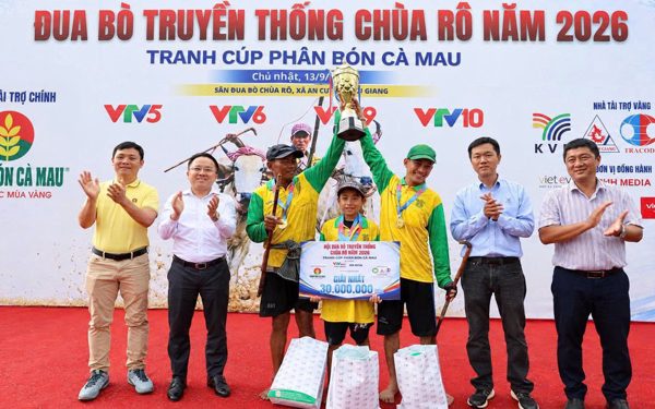 Hội đua bò Chùa Rô 2026 sôi động với 32 đôi bò tranh tài