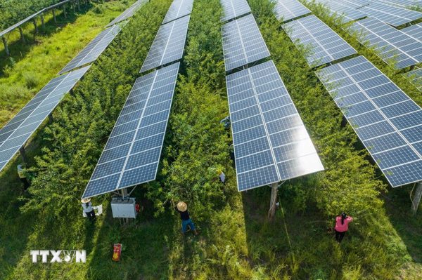 Hội nghị COP31 thúc đẩy trí tuệ nhân tạo có trách nhiệm với khí hậu