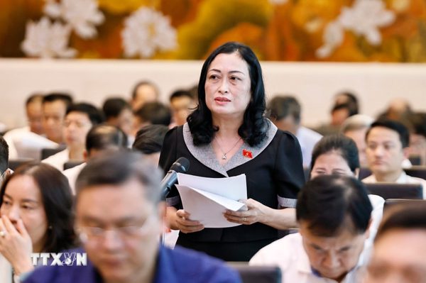 Hội nghị đại biểu Quốc hội hoạt động chuyên trách: Giải quyết vấn đề của thực tiễn, mở đường cho phát triển