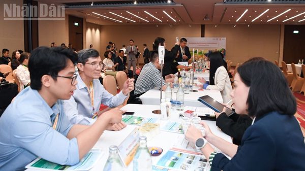 Hội thảo kết nối cung cầu doanh nghiệp Việt Nam và Thái Lan