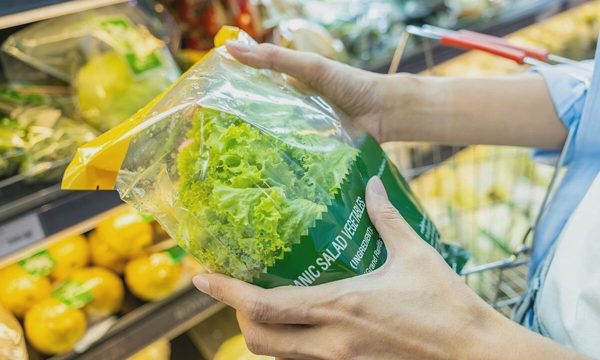 Hơn 15.000 người Mỹ nhiễm ký sinh trùng từ rau diếp