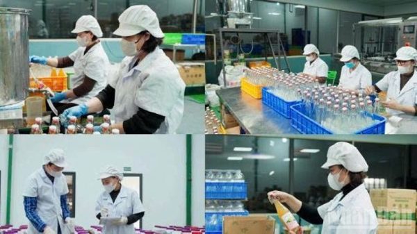Hơn 223,9 nghìn doanh nghiệp thành lập mới và quay trở lại hoạt động 9 tháng năm 2026