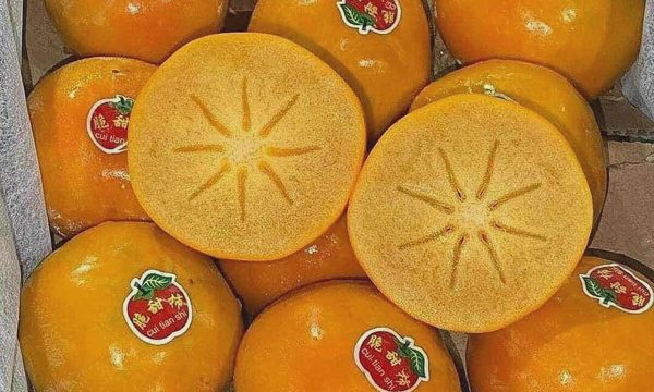 Hồng giòn socola Trung Quốc giá 'rẻ chưa từng có'