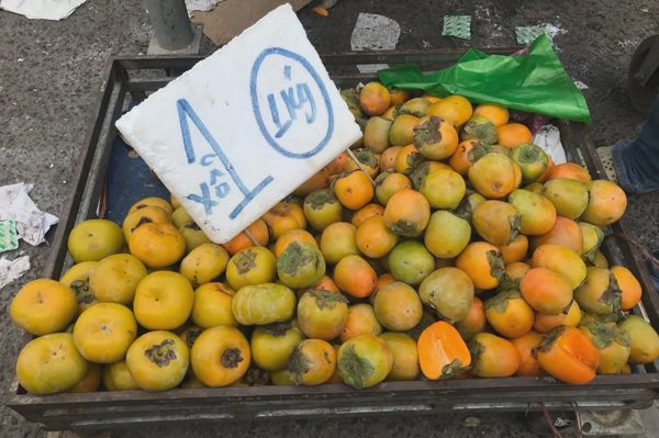 Hồng mật Trung Quốc giá từ vài trăm nghìn nay có nơi bán còn 10.000 đồng/kg