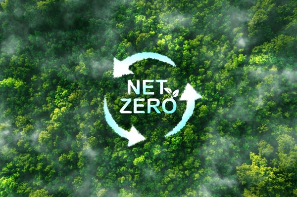 Hướng tới Net Zero: Khi công trình xanh bắt đầu từ khâu thiết kế