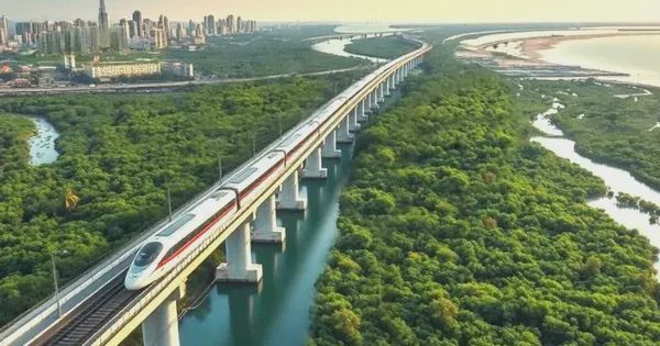 HURC1 tuyển nhân sự cho tuyến đường sắt LRT Phú Quốc