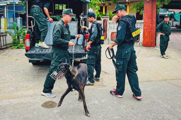 Huy động chó nghiệp vụ tìm cụ bà 87 tuổi mất tích ở xã đảo
