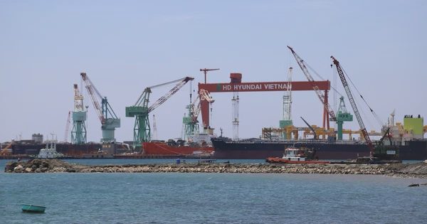 HVS đóng góp hơn 700 triệu USD mỗi năm vào xuất khẩu Khánh Hòa