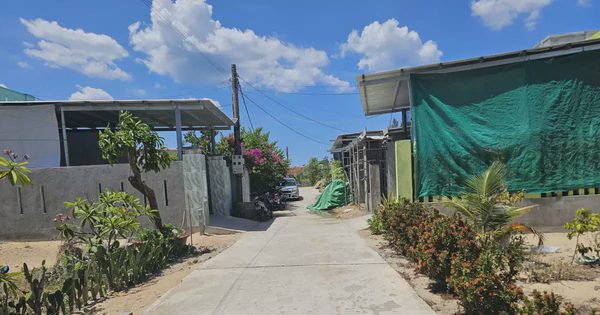 Hy hữu: Xây cả 'khu dân cư' trái phép trên đất rừng trồng, chỉ cách trụ sở phường 3 cây số