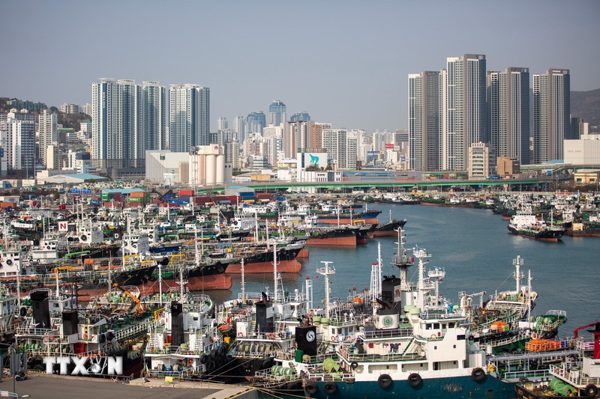 IMF cảnh báo cú sốc năng lượng và rủi ro AI đe dọa kinh tế châu Á