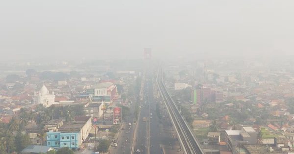 Indonesia bắt 72 người nghi gây cháy rừng nghiêm trọng