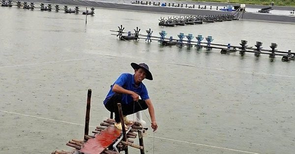Kết hợp 4 vật nuôi trên 1 ha đất, thu lãi gần 400 triệu đồng/năm