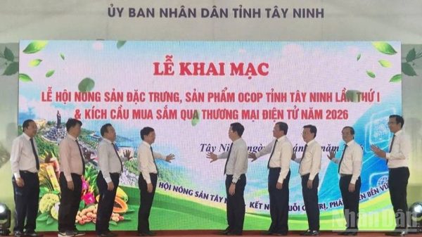 Kết nối chuỗi giá trị, phát triển bền vững