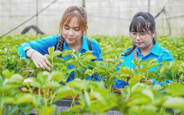 Kết nối để hành trình khởi nghiệp của bạn trẻ không đứt gãy