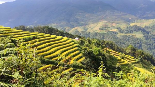 Kết nối di sản văn hóa ruộng bậc thang