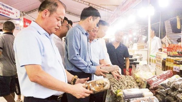 Kết nối mở rộng thị trường tiêu thụ cho hợp tác xã