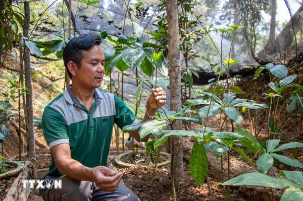 Kết nối nông nghiệp, du lịch, mở hướng phát triển kinh tế miền núi