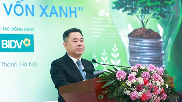 Kết nối tín dụng xanh với thị trường carbon
