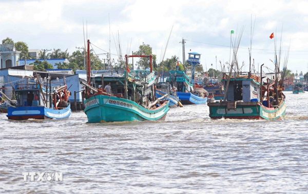 Khắc phục "thẻ vàng" IUU ở Cà Mau: Số hóa dữ liệu, siết chặt quản lý tàu cá