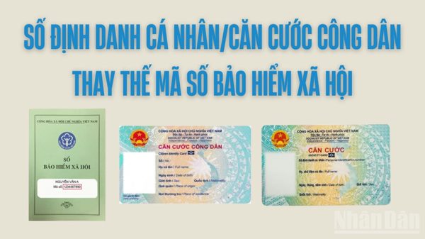 Khai báo số định danh/căn cước công dân trên hồ sơ đề nghị hưởng chế độ bảo hiểm xã hội