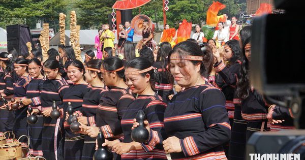 Khai hội Tuần lễ hoa dã quỳ Chư Đăng Ya, ban tổ chức nhắc không hái hoa